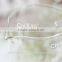 borosilicate glass teapot with straine
