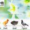 Top selling newly design full automatic egg incubator hatching 5280 eggs for sale