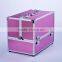 Soozier Professional 14" Pink Expandable Professional Makeup Artist Cosmetic Organizer Travel Case with Pull-Out Trays - Pink