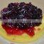 New Crop/Canned Blueberry Pie Filling & Topping 410g