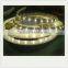 zhongshan guzhen factory hight bright swimming pool smd led strip waterproof