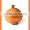 bulk chinese Best quality fresh yellow onion