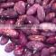 JSX Peeling black purple speckled kidney beans best quality cheap price pinto beans