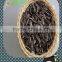 Common Cultivation Type and Sunflower edible Type sunflower for human consumption
