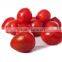 Xiao Fan Qie Best Quality Low Price Small Tomato Seeds