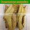 Herbal Medicine Common Fibraurea Stem Treating Diabetes
