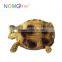 Nomo Non-toxic Super simulation High-quality Cute Land Hermann's Tortoise Model