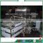 vegetable washing equipment