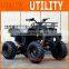 Manual 250cc Utility ATV For Farm