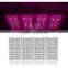 Hps Led Grow Light 300W for Indoor Grow Plants