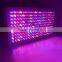 300W 600W 1000W Full Spectrum LED Grow Light for Veg and Flowering