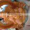 Lord Ganapathy