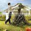 fake grass animal manufacture high color fastness UV/water proof artificial grass topiary