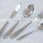 stainless stee spoon fork and knife set