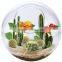 Acrylic globe Terrarium