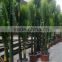 guangzhou factory foliage bamboo palm Artificial bamboo palm