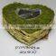 decoration diamond shaped green moss and sisal pot