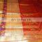 Women's Dress Indian Ethnic Zari Work Pallu Silk Sari Wedding wear Saree