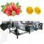 Air Zone Automatic  fruit strawberry apple date lemon Air bubble Washing Machine Line low price
