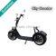 2016 Popular City Scooter 800W Two Wheels Electric Citycoco Self Balancing Motorcycle With Hydraulic Brake Function                        
                                                Quality Choice