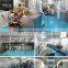 sinoped star shape fish shape elephant shape softgel encapsulation machinery