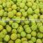 Factory Supply Efficient Fruit Washing Machine