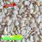 Dry soy beans peeled machine / soybean split machine