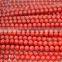 Whoesale high quality red coral round beads 4-20mm