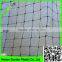 100% original HDPE raw material with UV additives Crop protection anti bird net rede para pegar passaros