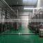 Protein Beverage Production Line for Walnut Kerrnel