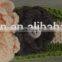new year will arrival handmade crocheted baby hair band 2015