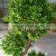 Garden Landscaping Natural Look Artificial Decorative Bonsai Tree Small Size Tree With Favorable Price
