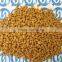 NPK Compound Fertilizer in agriculture with best prices
