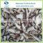 Frozen Fresh Shiitake Slices