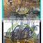 Crushing Square Concrete Hydraulic Pile Breaker/Cutter
