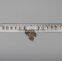 Fashion gold metal chian necklace with rhinestone