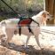 Dog backpack for a hike along the trail or a walk around town
