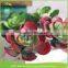 for rustic chic wedding top table decor Vertical Wall Garden wholesale artificial types of succulents