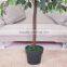 Yiwu cheap indoor decorative artificial ficus plant
