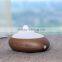 GX DIFFUSER Newest usb aroma diffuser,mini humidifier GX-B06