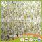 high quality market price frozen wholesale onion dices