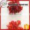 China origin cheap dried cherry fruit