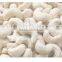 hot selling AFI STAND CASHEW NUT