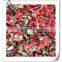 Dehydrated Red Bell Peppers With Kosher BRC HACCP And ISO Certificate