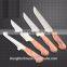 Factory price stainless steel poultry farm chicken process equipment