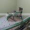 PET Bottle Conveyor Belt
