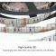 UL IP65 Led Grow Strip ShenZhen Manufacturer Supply