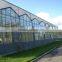 Chian Xinhe Large Multi-span Glass Greenhouse Commercial Greenhouses