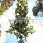 Cheap artificial tree christmas China suppliers artificial christmas tree