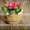 Newest Fashion Light Weight Waterproof Ornamental Cement Flowerpot